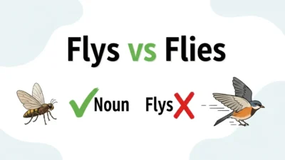 flys vs flies